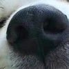 joannjhoovers24